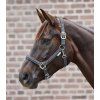 Ohlávka Crystal Waldhausen (Velikost PONY, Barva black)