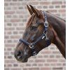 Ohlávka Crystal Waldhausen (Velikost PONY, Barva black)