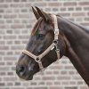 Ohlávka Crystal Waldhausen (Velikost PONY, Barva black)