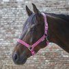 Ohlávka Crystal Waldhausen (Velikost PONY, Barva black)