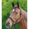 Ohlávka Crystal Waldhausen (Velikost PONY, Barva black)