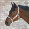 Ohlávka Rosé Shine Waldhausen (Velikost PONY, Barva white/rose gold)