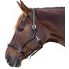 Ohlávka Nevada Waldhausen (Velikost PONY, Barva black/silver)