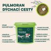 Pulmoran pro koně 1000g ROOT SNOOT