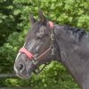 Premium Ohlávka Soft (Velikost PONY, Barva black)