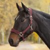 Premium Ohlávka Soft (Velikost PONY, Barva black)