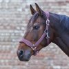 Premium Ohlávka Soft (Velikost PONY, Barva black)