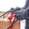 Náprsník Waldhausen Secutrust s bezpečnostními otěžemi (Velikost PONY, Barva black)