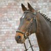 STAR uzdečka Hannover (Velikost PONY, Barva black)