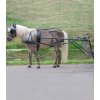 Postroj Star Economic, pony a shetty (Velikost MINISHETTY, Barva black)