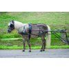 Postroj Star Economic, pony a shetty (Velikost MINISHETTY, Barva black)