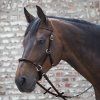 Bezudidlovka Linda Tellington-Jones Lindell (Velikost PONY, Barva black)