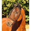 Maska proti hmyzu s ochranou uší Basic Waldhausen (Velikost PONY, Barva black (with ears))