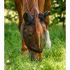 Maska proti hmyzu s ochranou uší Basic Waldhausen (Velikost PONY, Barva black (with ears))