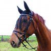Čabraka na uši Waldhausen s třásněmi (Velikost PONY, Barva black)