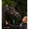 Polo kožená ohlávka (Velikost PONY, Barva black)