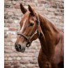 Anatomická ohlávka Waldhausen (Velikost PONY, Barva night blue/taupe)