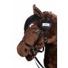 Závodní cedulka na uzdečku -Hobby Horsing- HKM