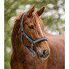 Ohlávka proti zapaření Waldhausen (Velikost PONY, Barva black)