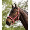 Ohlávka proti zapaření Waldhausen (Velikost PONY, Barva black)