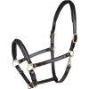 Kožená ohlávka Waldhausen Classy S-Line (Velikost COB, Barva black/silver)