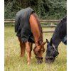 Zimní deka NORDIC Turnout, zateplení fleece (Velikost 95 cm, Barva black)