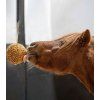 Likit Granola Stall Ball, 1,6 kg