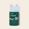 Sirup Pulmoran pro koně 1l ROOT SNOOT