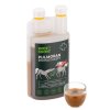 Sirup Pulmoran pro koně 1l ROOT SNOOT