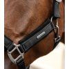 Ohlávka Soft Touch (Velikost PONY, Barva black)