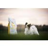 Brit Care Mini Grain Free Hair & Skin 7 kg