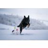 Brit Care Dog Sustainable Activity 12 kg
