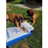 Brit Care Dog Hypoallergenic Adult Large Breed 3 kg