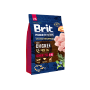 Brit Premium by Nature Senior L+XL