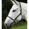 Kožená ohlávka STAR Robust (Velikost PONY, Barva black)
