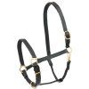 Kožená ohlávka STAR Robust (Velikost PONY, Barva black)