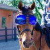 Ochrana očí, brýle pro koně Equick eVysor - Blue