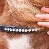 Uzdečka Maja Černá pro shetty a pony