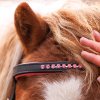 Uzdečka Maja Černá/ růžová pro shetty a pony