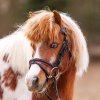 Uzdečka Maja Černá/ růžová pro shetty a pony