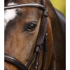 Kožené blinkers Waldhausen (Barva black)
