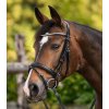 Kožené blinkers Waldhausen (Barva black)