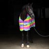 Fleece deka odpocovcí IRHStripe