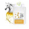 Dromy Kurkumový sirup 1l